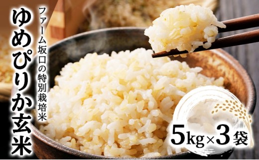 令和7年産!ファーム坂口の特別栽培米 ゆめぴりか玄米 15kg(5kg×3袋) 2258986 - 北海道岩見沢市