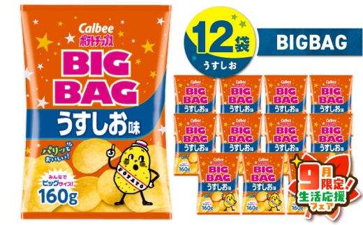 【 期間限定 生活応援 】カルビー ポテトチップス BIGBAG【うすしお】12袋　K194-002_04