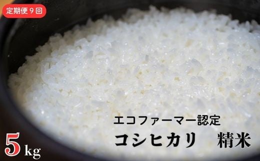 《定期便9ヶ月》 令和7年産 新米【エコファーマー認定】 コシヒカリ 白米 5kg ／ 米 こめ コメ ごはん ご飯 お米 おこめ 精米 白米 新米 エコファーマー認定 5kg 定期便 令和7年 千葉県 東庄町 産地直送 2268642 - 千葉県東庄町