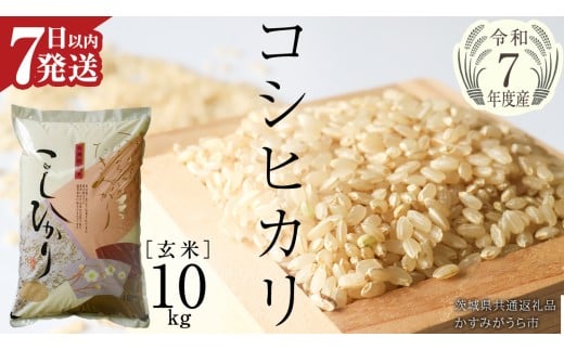 【 令和7年産 】 コシヒカリ 玄米 10kg ( 10kg × 1袋 ) (茨城県共通返礼品 かすみがうら市) 最短7営業日以内発送 新米 米 ごはん もっちり 甘い コメ お米 玄米 銘柄米 [EX012sa]