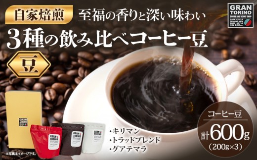 GRAN TORINO 200g×3種類 コーヒー 豆 キリマン トラッドブレンド グアテマラ 3種 飲み比べ セット 計600g 自家焙煎 珈琲豆 ドリンク 飲料 福岡県 福岡 九州 お取り寄せ 2256682 - 福岡県田川市