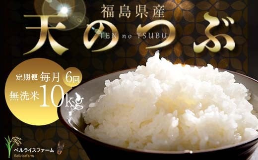 【お米の定期便 2025年11月より毎月6か月配送】農家直送 天のつぶ 無洗米10kg 全6回 F6U-185