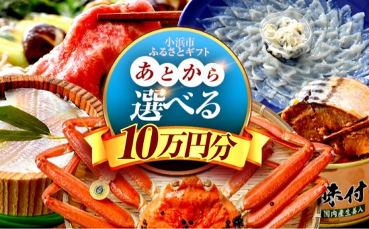 [あとから選べる] 福井県小浜市ふるさとギフト 10万円分 海産物 箸 お米 スイーツ あとから ギフト [BFDV018]
