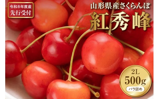 【2026年産先行予約】さくらんぼ紅秀峰 秀以上 2L 500g以上(500gバラ詰め×1パック)山形県河北町産【晴天畑】 さくらんぼ 山形県 ふるさと納税 大粒 紅秀峰 贈答 ギフト ka073-010