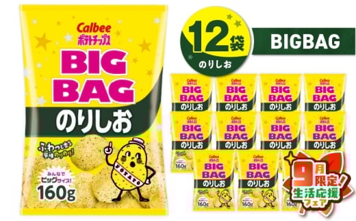 【 期間限定 生活応援 】カルビー ポテトチップス BIGBAG【のりしお】12袋　K194-002_08