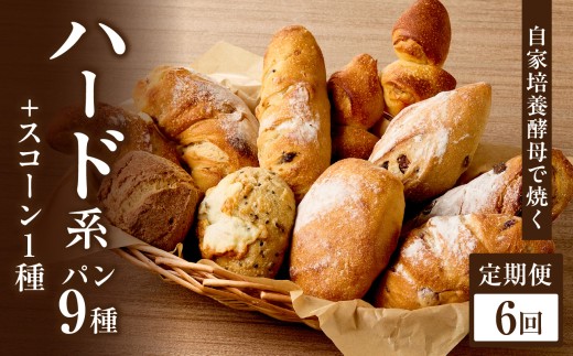【全6回定期便】自家培養酵母で焼くハード系パン9種＋スコーン1種セット！ハード系 パン スコーン 自然素材「Boulangerie Faveur」京都府 木津川市【065-04-T03】