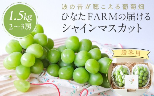 【贈答用】波の音が聴こえる葡萄畑 ひなたFARM シャインマスカット【シャインマスカット マスカット 果物 フルーツ シャイン ぶどう 葡萄 鳥取県産 鳥取 北栄町 おすすめ 人気 ギフト 贈答品】