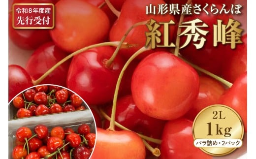 【2026年産先行予約】さくらんぼ紅秀峰 秀以上 2L 1kg以上(500gバラ詰め×2パック)山形県河北町産【晴天畑】 さくらんぼ 山形県 ふるさと納税 大粒 紅秀峰 贈答 ギフト ka073-008