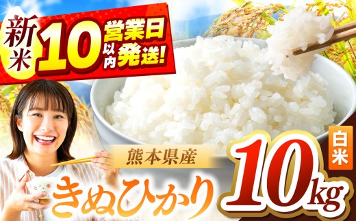 令和7年産 きぬひかり 10kg | お米 米 こめ おこめ 精米 キヌヒカリ 10キロ 国産 国産米 定期 くまもと 熊本 熊本県 玉名市 玉名