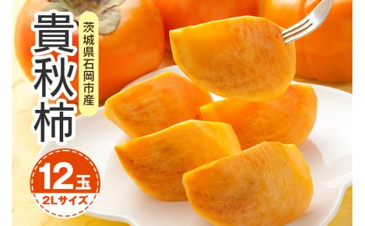 [ 2025年 先行予約 ] 貴秋柿 2L 12玉 (鈴木柿園) 柿 甘い柿 糖度高い 貴秋かき 大玉 カキ 甘い 果物 フルーツ くだもの カキ 貴秋かき 秋 旬 甘柿 贈答用 贈答品 ギフト 贈り物 品種 ブランド 10月 11月 発送 産地直送 農家直送 産直 茨城県 石岡市 (A08-004)
