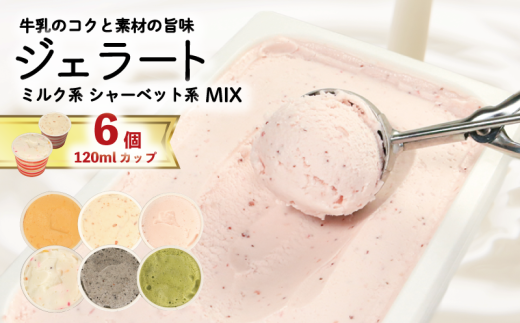 ジェラート 詰め合わせ 120ml 選べる 個数 6個 冷凍 フルーツ ギフト プレゼント 贈答 お取り寄せ グルメ 季節限定 冷凍 徳島県 吉野川市 株式会社マイスター社