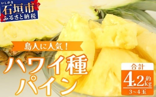 【先行予約】《2025年7月上旬頃より順次発送》石垣島産 ハワイ種パイン 3～4玉セット 約4.2㎏【 産地直送 石垣島産 石垣 完熟 パイン パイナップル 】TD-7