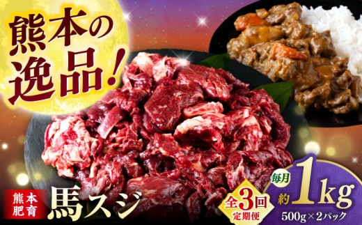 [全3回定期便]馬スジ 1kg ( 500g × 2 ) [合同会社 長岡フーズ] 