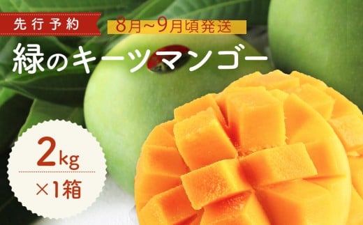緑のキーツマンゴー2㎏【2026年8月～9月頃発送】生産者直送　先行予約