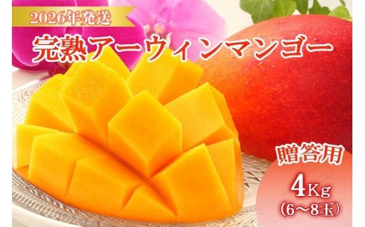 <先行予約2026年発送>宮古島産“完熟アーウィンマンゴー”《贈答用》4kg【福来多まつばらマンゴー園】(MF03) 2177110 - 沖縄県宮古島市