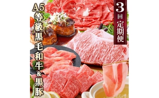 定期便(3回配送)鹿児島産A5等級黒毛和牛&黒豚 EE-6014_ 定期便 黒毛和牛 黒豚 サーロイン ステーキ ハンバーグ 焼肉 切り落とし 人気 おすすめ 送料無料 贈答 ギフト A5 鹿児島県 枕崎 【1471286】