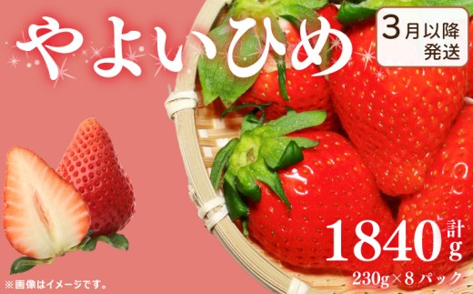 《3月～発送》先行予約 訳あり いちご やよいひめ 1840g 苺 ストロベリー 果物 フルーツ ケーキ ゼリー ジュース アイス シャーベット チョコ フルーツサンド いちご大福 大福 洋菓子 和菓子 スイーツ デザート ジャム 不揃い 規格外 家庭用 甘い 人気 おすすめ お取り寄せ グルメ 徳島県 阿波市 Berry Mate Farm 2254014 - 徳島県阿波市