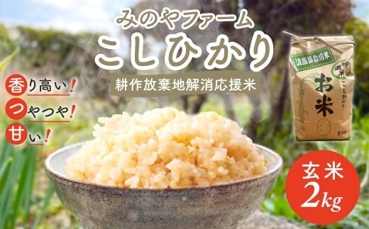 令和7年産新米 こしひかり 2ｋｇ（玄米） みのやファームの耕作放棄地解消応援米 【 コシヒカリ こしひかり おいしい お米 米 こめ 自然栽培 贈り物 ギフト 千葉県 御宿町 人気 おすすめ ランキング 】 ONJF004
