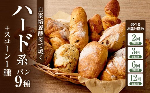 【定期便】自家培養酵母で焼くハード系パン9種＋スコーン1種セット！ハード系 パン スコーン 選べる回数（2回・3回・6回・12回）【065-04-parent】