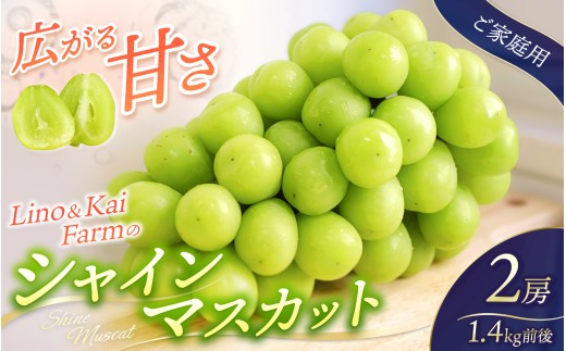 ★Lino＆Kai Farm 【ご家庭用】 岡山のシャインマスカット 2房（1.4kg前後） 化粧箱入 【2025年10月上旬～順次発送】 / 朝採れ ぶどう 岡山  真庭市 シャインマスカット 高級 ギフト 大粒 果物 贈答 人気 産地直送 国産 安全 数量限定 種なし 食べチョクアワード 受賞