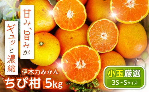 伊木力みかん(ちび柑) 5kg / みかん s みかんsサイズ ミカン 蜜柑 柑橘 フルーツ ふるーつ 果物 くだもの / 諫早市 / 山野果樹園 [AHCF013]