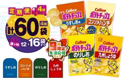 【 期間限定 生活応援 】【4ヶ月定期便】カルビー ポテトチップス 食べ比べ4種【うすしお、コンソメパンチ、のりしお、九州しょうゆ】　K194-T01