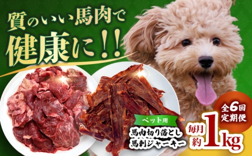 【全6回定期便】詰め合わせ 国内加工 ペット用 馬肉 切り落とし 1kg ペット用 馬刺しジャーキー 100g(50g×2) 【合同会社　長岡フーズ】 [ZFR067]