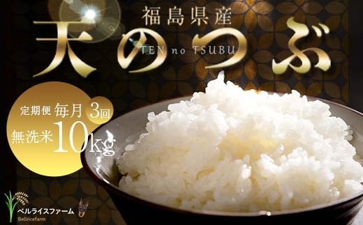 【お米の定期便 2026年6月より毎月3か月配送】農家直送 天のつぶ 無洗米 10kg 全3回 F6U-191