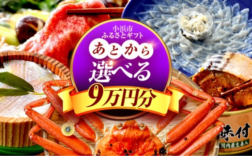 [あとから選べる] 福井県小浜市ふるさとギフト 9万円分 海産物 箸 お米 スイーツ あとから ギフト [BFDV017]