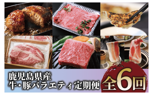 【全６回定期便】鹿児島県産牛・豚バラエティ定期便(Z120-2043) 牛 牛肉 肉 豚 豚肉 黒豚 茶美豚 サーロイン ステーキ 黒毛和牛 豚スライス 豚スラ カタロース ハンバーグ 餃子 中華 中華料理 黒豚餃子 鍋 しゃぶしゃぶ