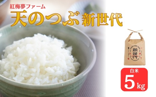 【先行予約】新米 天のつぶ「新世代」 白米 5kg | 令和7年産 2025年産 米5kg 精米 米5キロ ごはん 福島県産 南相馬 福島 紅梅夢ファーム 1016748 - 福島県南相馬市