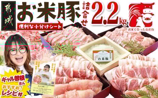 お米豚2.2kgセット_14-3101_(都城市) 豚肉 豚ロース 豚こま切れ 豚バラ肉 豚肩ロース ブランド豚 小分け スライス肉  ギャル曽根さんおすすめの豚肉返礼品