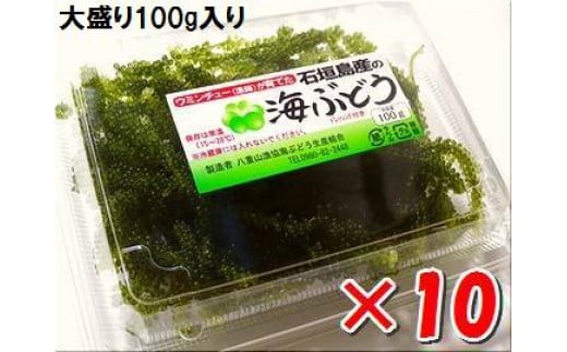 海ぶどう 100g入×10パック　計1kg 大盛版 (タレ付き)・収穫当日に発送！《4月～10月順次発送》【 沖縄県 石垣市 海ブドウ 海藻 クビレヅタ 養殖 プチプチ 食感 常温 】SI-67 1420073 - 沖縄県石垣市