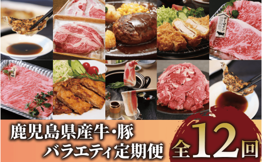 【全12回定期便】鹿児島県産牛・豚バラエティ定期便(Z180-2042) 牛 牛肉 豚 豚肉 肉 鹿児島県産 国産 鹿児島産 黒牛 茶美豚 黒豚 餃子 しゃぶしゃぶ すき焼き すきやき すき焼 総菜 惣菜 冷凍 黒毛和牛 ステーキ ハンバーグ スライス 切り落とし 切り落し 切落し 頒布会 セット 定期