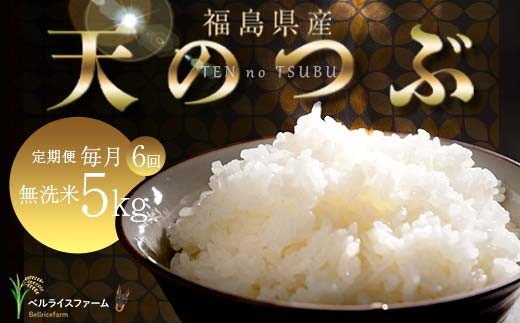 【お米の定期便 2025年11月より毎月6か月配送】農家直送 天のつぶ 無洗米 5kg 全6回 F6U-184