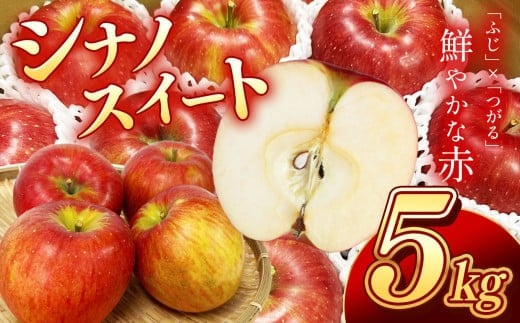 南信州産 りんご シナノスイート 約5kg 【2025年9月～10月発送】 | 果物 くだもの フルーツ シナノスイート 林檎 りんご リンゴ 信濃 新鮮 長野県 信州 南信州 飯田市