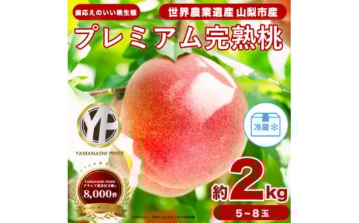 2026年度先行予約 晩生 約2kg 5~8個 大ぶり歯ごたえ◎ YAMANASHI PRIDE 桃【1425351】