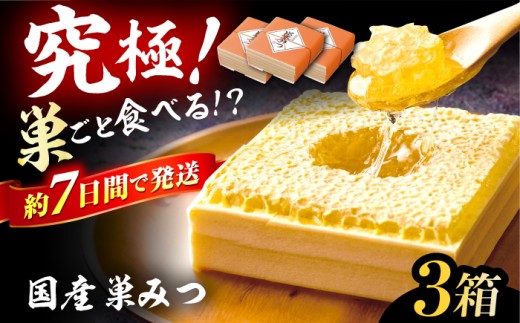 国産巣みつ 900g(300g×3個) 蜂蜜 はちみつ ハチミツ コムハニー 極上 濃厚  蜂蜜 グリークヨーグルト アサイーボウル パンケーキ ソフトクリーム オシャレ 人気 朝食 デザート 巣みつ スピード配送 広川町 / 株式会社九州蜂の子本舗 [AFAI006] 1250995 - 福岡県広川町