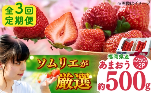 [全3回定期便]福岡産 冬あまおう 250g×2P 吉富町/南国フルーツ株式会社 [BGAG041]