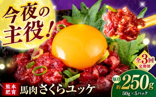 [全3回定期便]馬肉さくらユッケ 250g ( 50g × 5 ) [合同会社 長岡フーズ] 