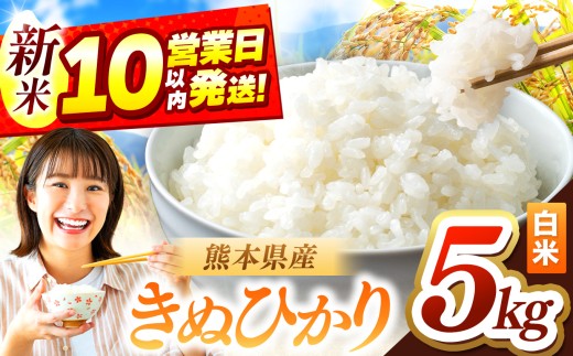 令和7年産 きぬひかり 5kg | お米 米 こめ おこめ 精米 キヌヒカリ 5キロ 国産 国産米 定期 くまもと 熊本 熊本県 玉名市 玉名