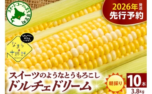 【先行受付】【2026年7月下旬～8月15日頃配送】北海道十勝芽室町 なまら十勝野　ドルチェドリーム(10本) 　me001-043c-26 1451542 - 北海道芽室町