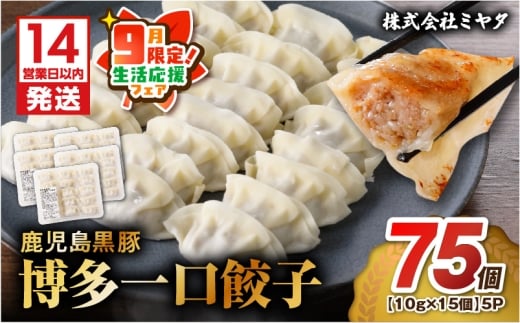 【 期間限定 生活応援 】【14営業日以内に発送】 鹿児島黒豚博多一口餃子 75個　K025-009_01_cp