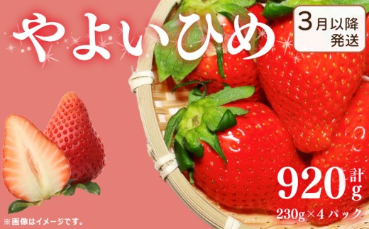 [3月〜発送] 先行予約 訳あり いちご やよいひめ 920g 苺 ストロベリー 果物 フルーツ ケーキ ゼリー ジュース アイス シャーベット チョコ フルーツサンド いちご大福 大福 洋菓子 和菓子 スイーツ デザート ジャム 不揃い 規格外 家庭用 甘い 人気 おすすめ お取り寄せ グルメ 徳島県 阿波市 Berry Mate Farm
