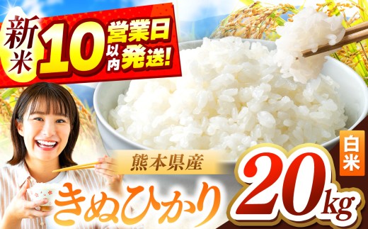 令和7年産 きぬひかり 20kg | お米 米 こめ おこめ 精米 キヌヒカリ 20キロ 国産 国産米 定期 くまもと 熊本 熊本県 玉名市 玉名