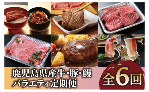 【全６回定期便】鹿児島県産牛・豚・鰻バラエティ定期便(Z100-2044) 牛肉 豚肉 うなぎ 鹿児島県産 鹿児島産 国産 定期 頒布会 スライス しゃぶしゃぶ すき焼き ハンバーグ 黒牛 黒豚 鹿児島黒牛 茶美豚 チャーミートン 焼肉 蒲焼 うなぎ蒲焼 6回