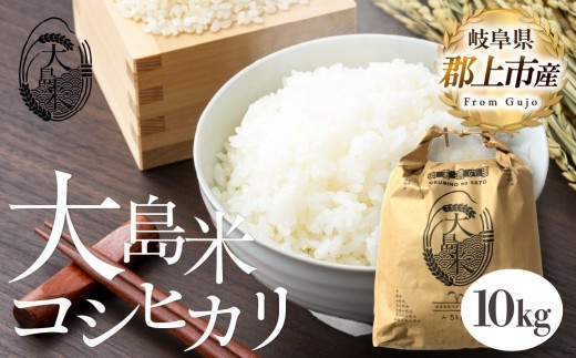 「精米」大島米10㎏　令和7年産 食品  米 雑穀  白米 20000円 G0080b