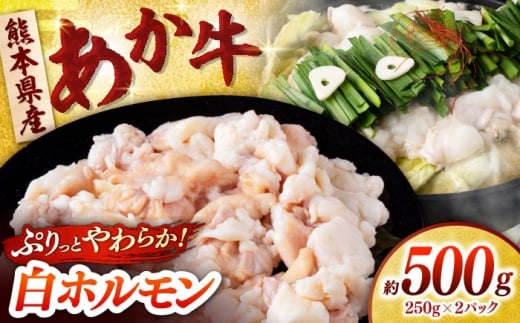 あか牛 白 ホルモン 500g (250g×2P) [合同会社 長岡フーズ] 