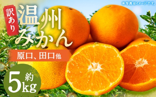 [訳あり] 長崎県時津町産 温州みかん (原口、田口他) 約5kg (2L〜3Lサイズ) [年内発送:2025年11月下旬〜12月下旬迄発送予定] 5キロ 蜜柑 みかん 柑橘 果物 果実 フルーツ 国産 九州 長崎県 時津町 常温