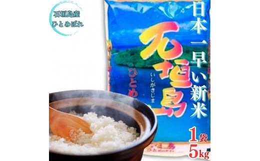 【石垣島産ひとめぼれ】日本最南端の日本一早い新米・５kg　【 沖縄県 石垣市 米 お米 新米 産地直送 】SI-58